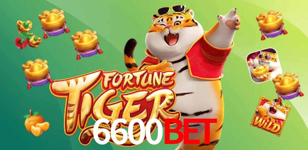 Experiência VIP 6600BET